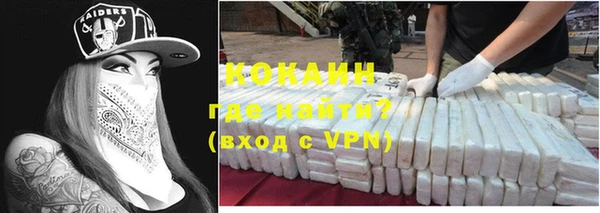 гашик Новодвинск