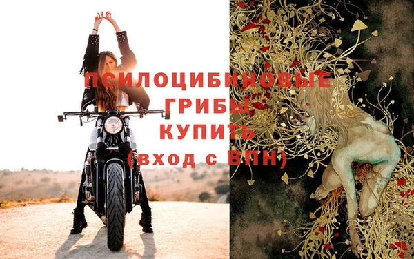 гашик Новодвинск