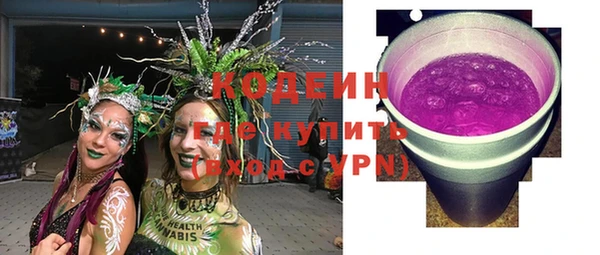 гашик Новодвинск
