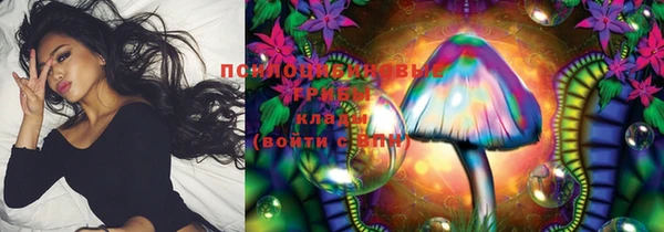 apvp Ачинск
