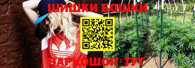 дживик Абинск