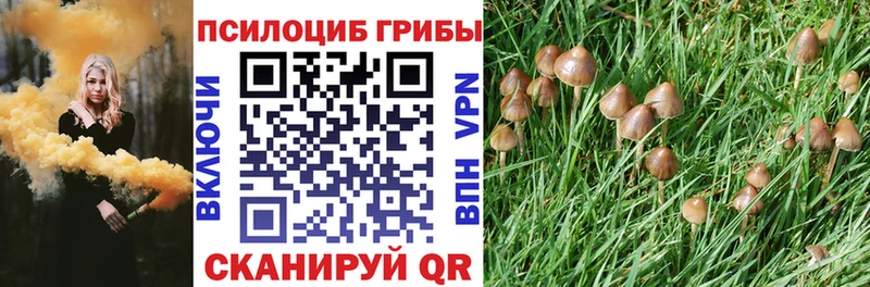 ОМГ ОМГ ТОР купить наркотики цена Алатырь Псилоцибиновые грибы GOLDEN TEACHER