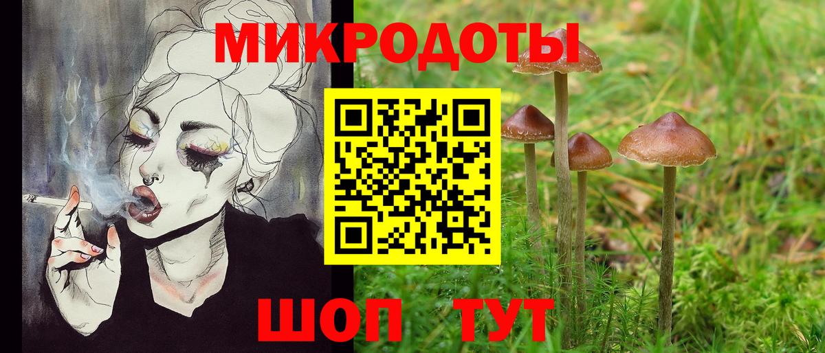 Псилоцибиновые грибы Cubensis Алатырь