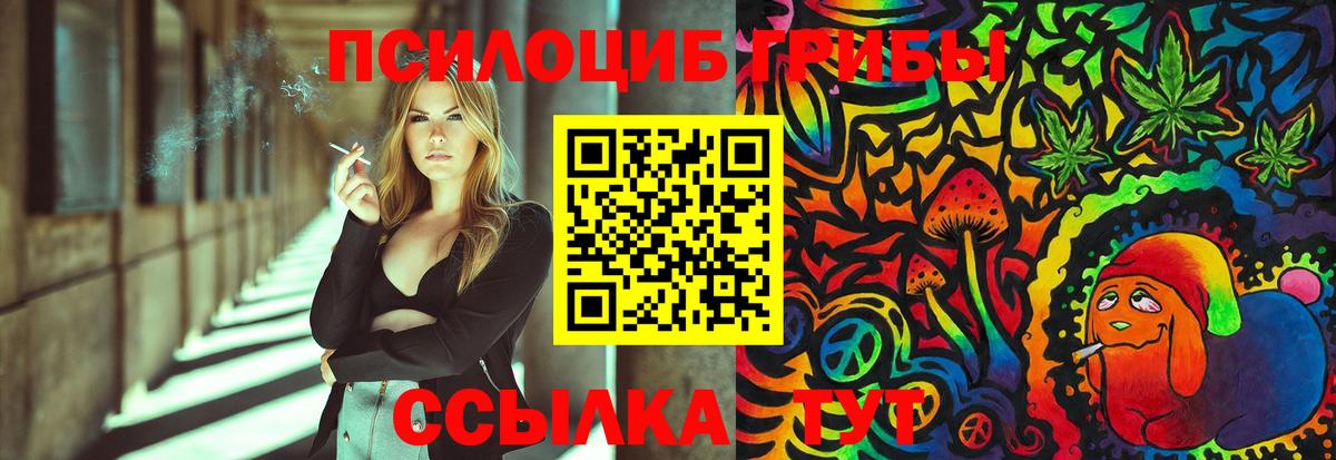 Алатырь  Псилоцибиновые грибы Psilocybe  Вход с VPN 
