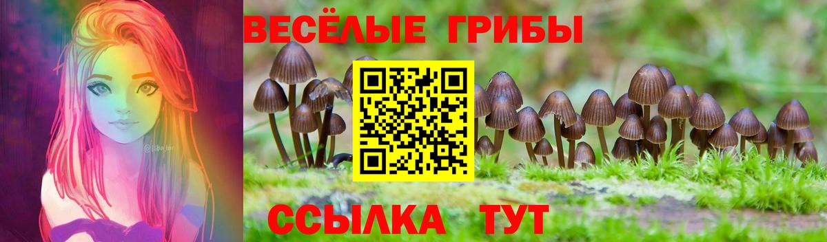Алатырь  Галлюциногенные грибы MAGIC MUSHROOMS  Галлюциногенные грибы GOLDEN TEACHER  Вход с VPN 